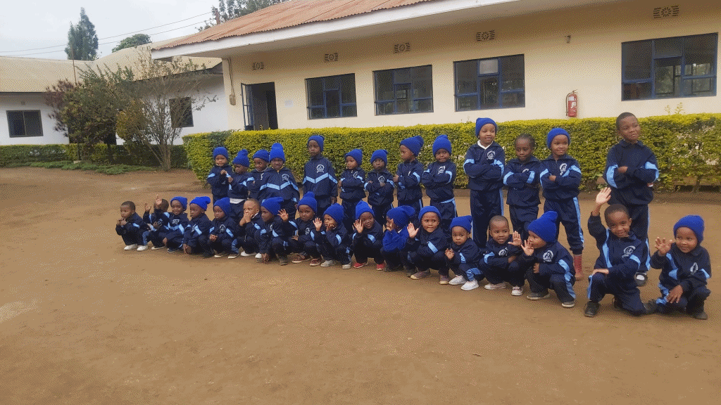 Road crossing the forest